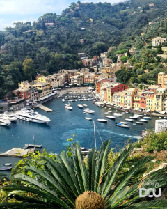 Adopcje w Portofino (październik 2022r.)