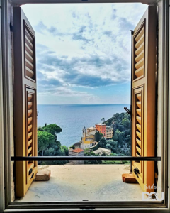 Adopcje w Portofino (październik 2022r.)