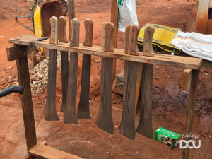 Wyjazd do Kamerunu (luty 2026r.)